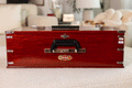 Bina No. 23B Deluxe Harmonium, 3.5 Octave, Folding, Coupler