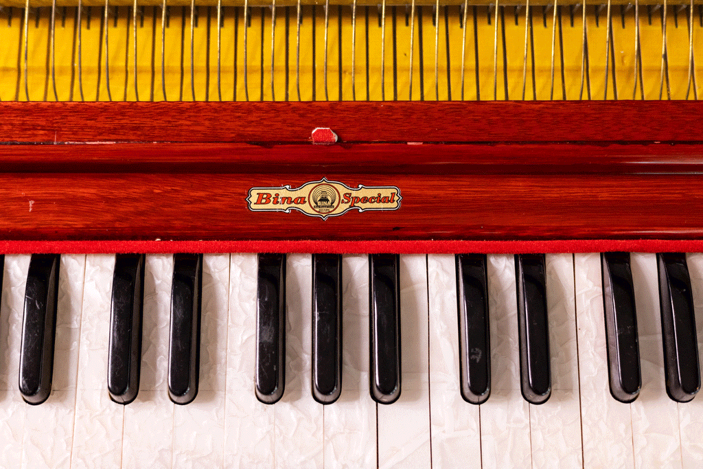 Bina No. 23B Deluxe Harmonium, 3.5 Octave, Folding, Coupler