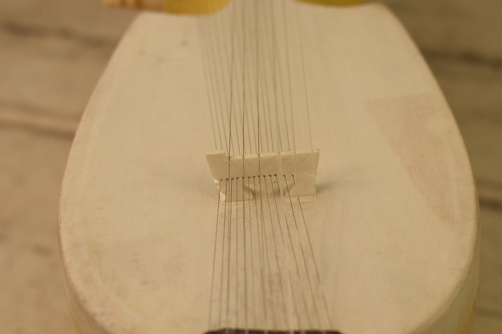 Maharaja Musicals Designer Rabab, Jackfruit Wood