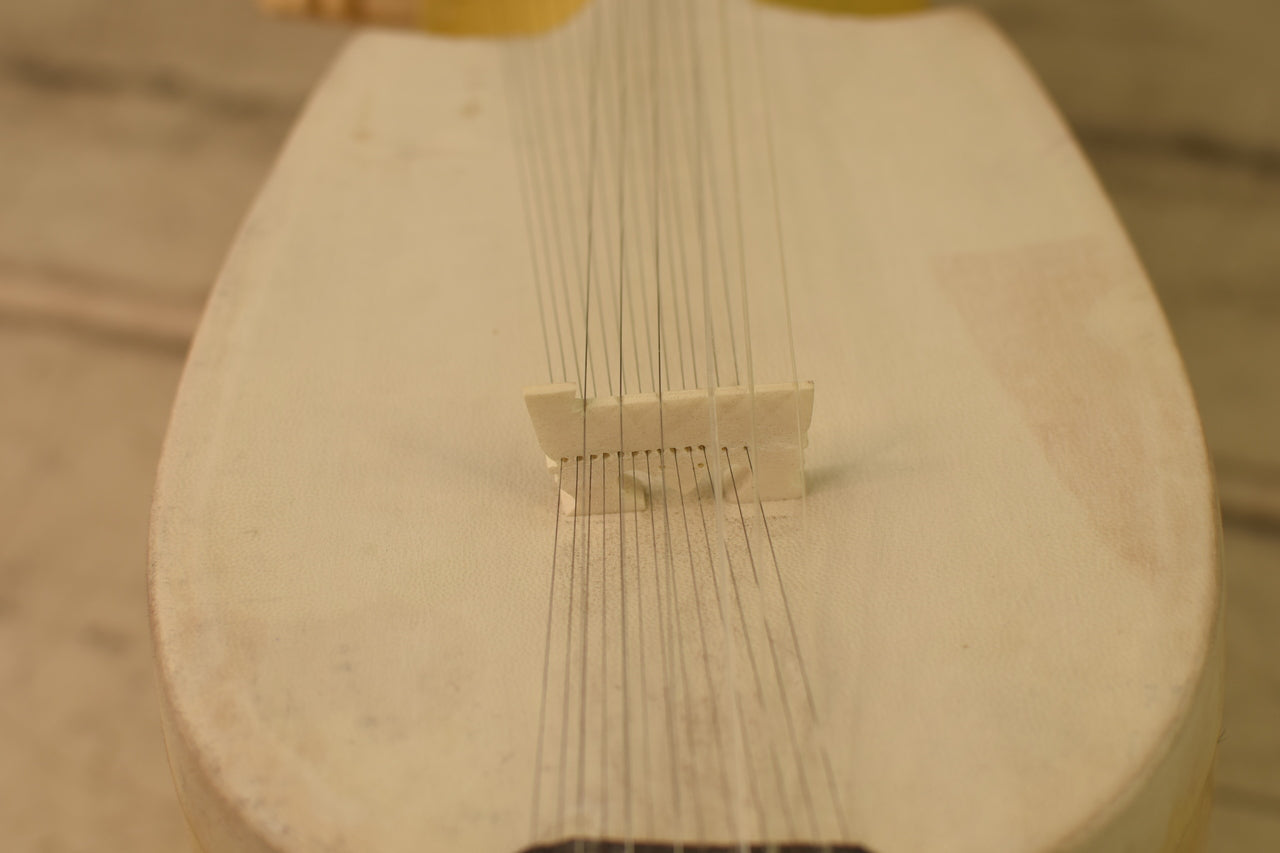 Maharaja Musicals Designer Rabab, Jackfruit Wood