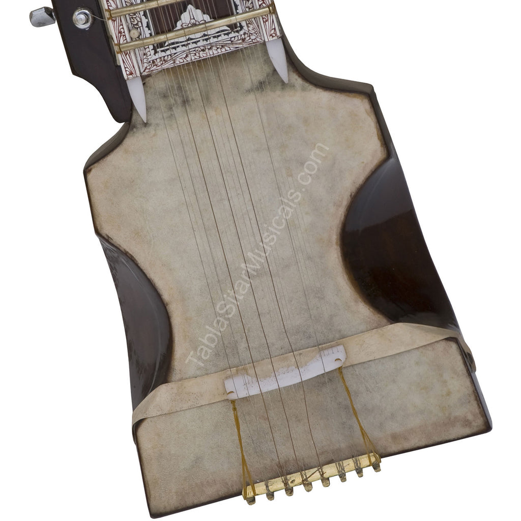 MKS Concert Dilruba, Tun Wood, Horsehair Bow, Fiber Case