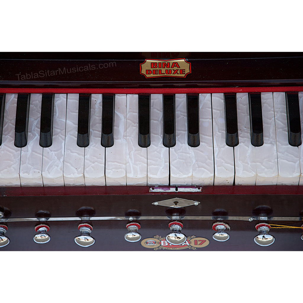 Bina No. 17 Harmonium, 2 Reeds, 3.5 Octave, 9 Stops, Coupler