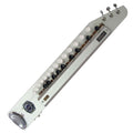Paloma Bulbul Tarang, Silver