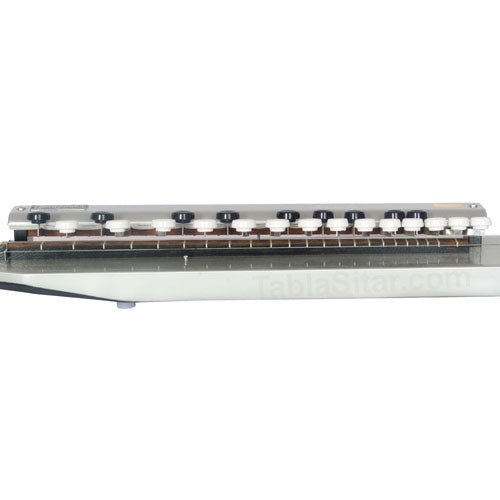 Paloma Bulbul Tarang, Silver