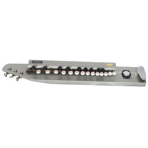 Paloma Bulbul Tarang, Silver