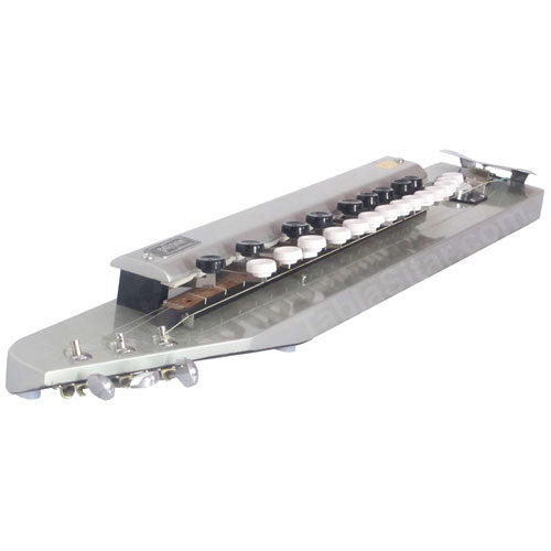Paloma Bulbul Tarang, Silver