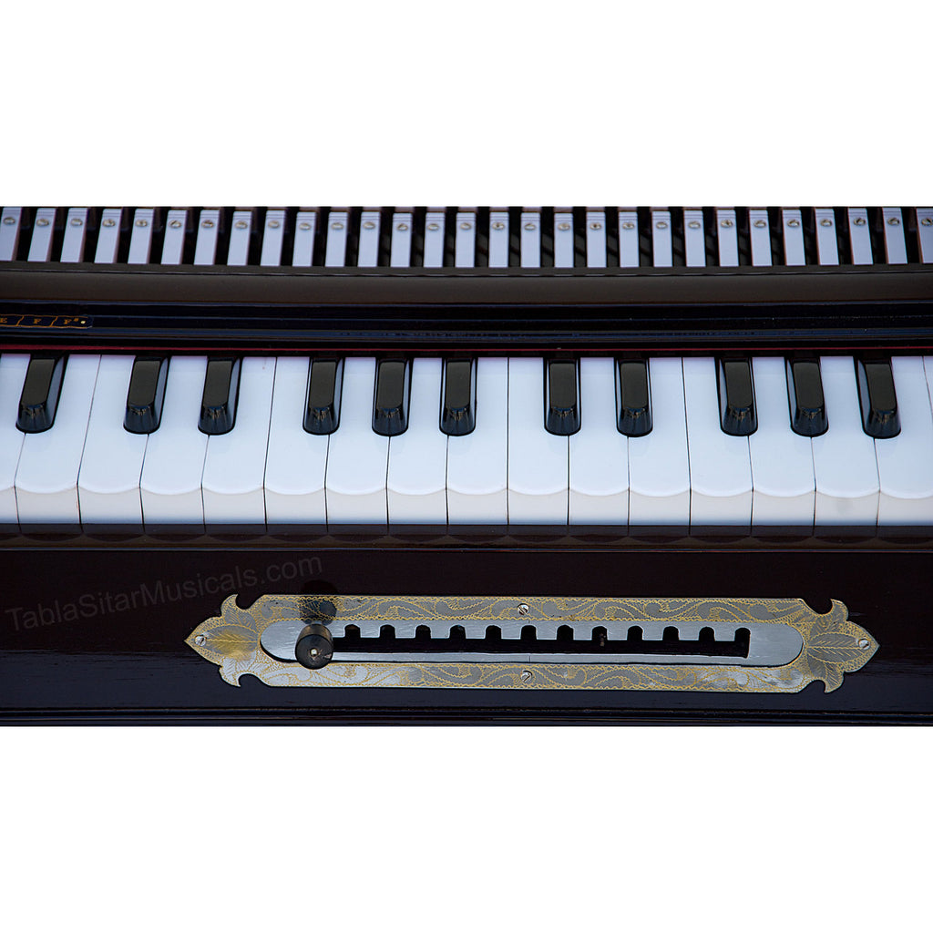 Paul & Co. Harmonium, 13-Scale Changer, 4 Reeds, Scale C