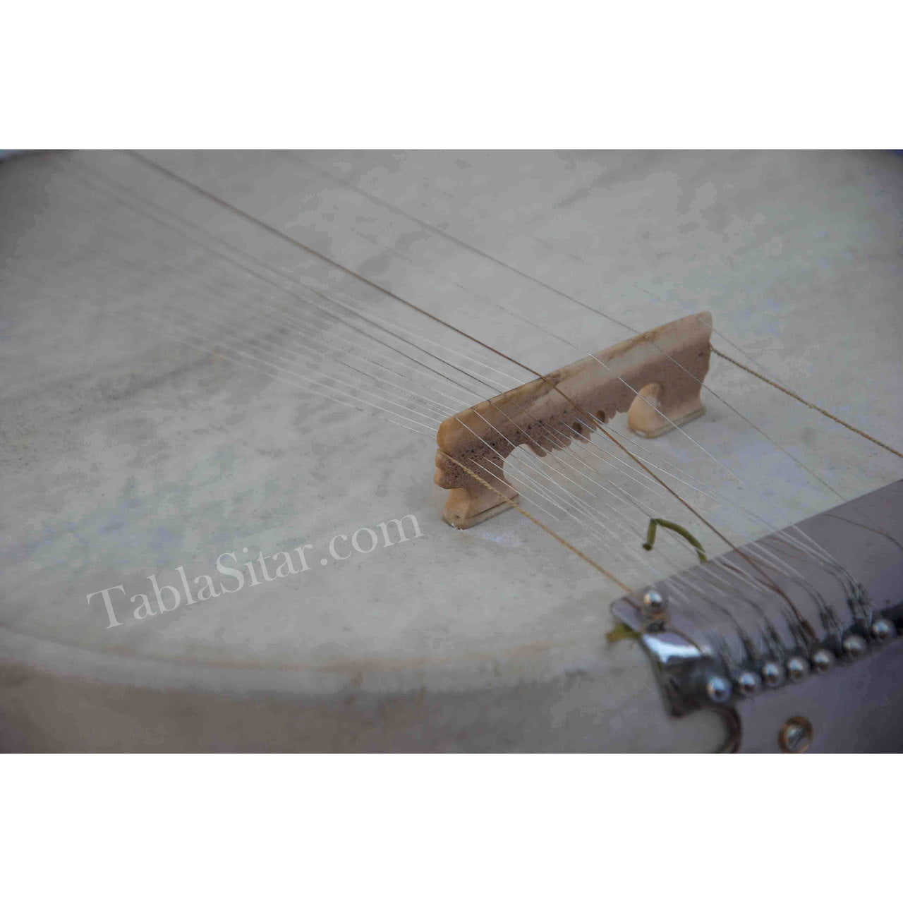 HEMEN & CO. Sarod, Amjad Ali Khan Style, Single Toomba, Fiber Case