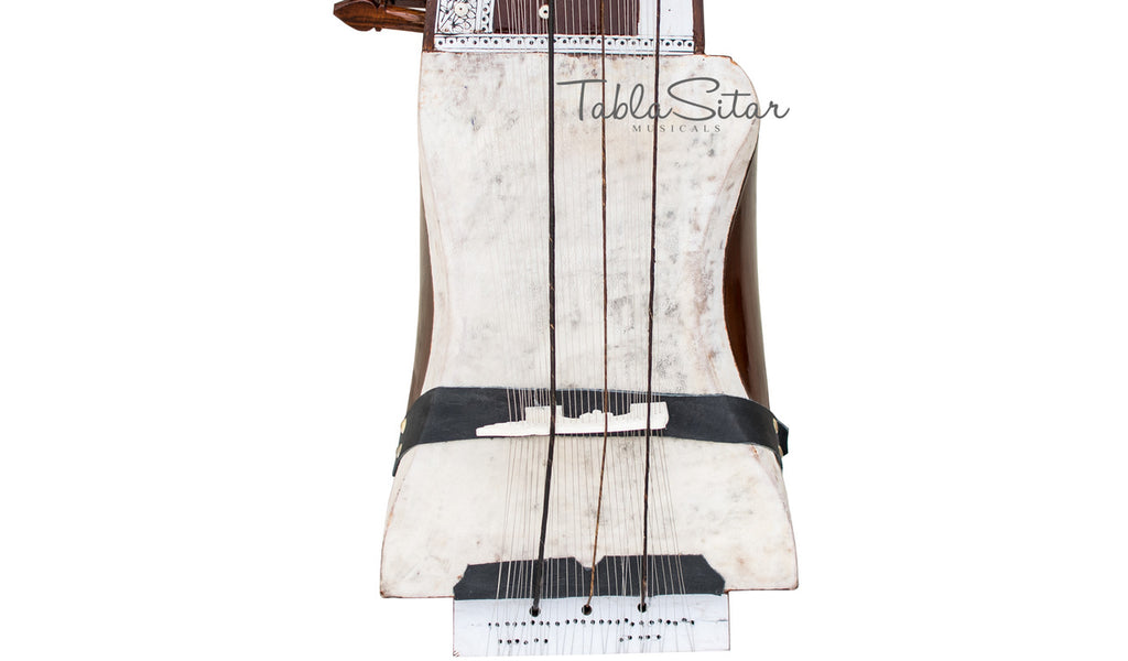 Maharaja Musicals Floral Sarangi