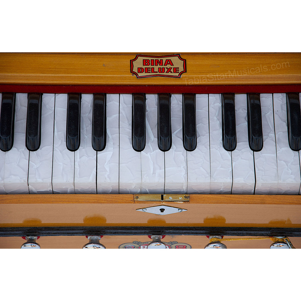 Bina No. 8 Harmonium, 2 Reeds, 3.25 Octave, 7 Stops (No. 406)