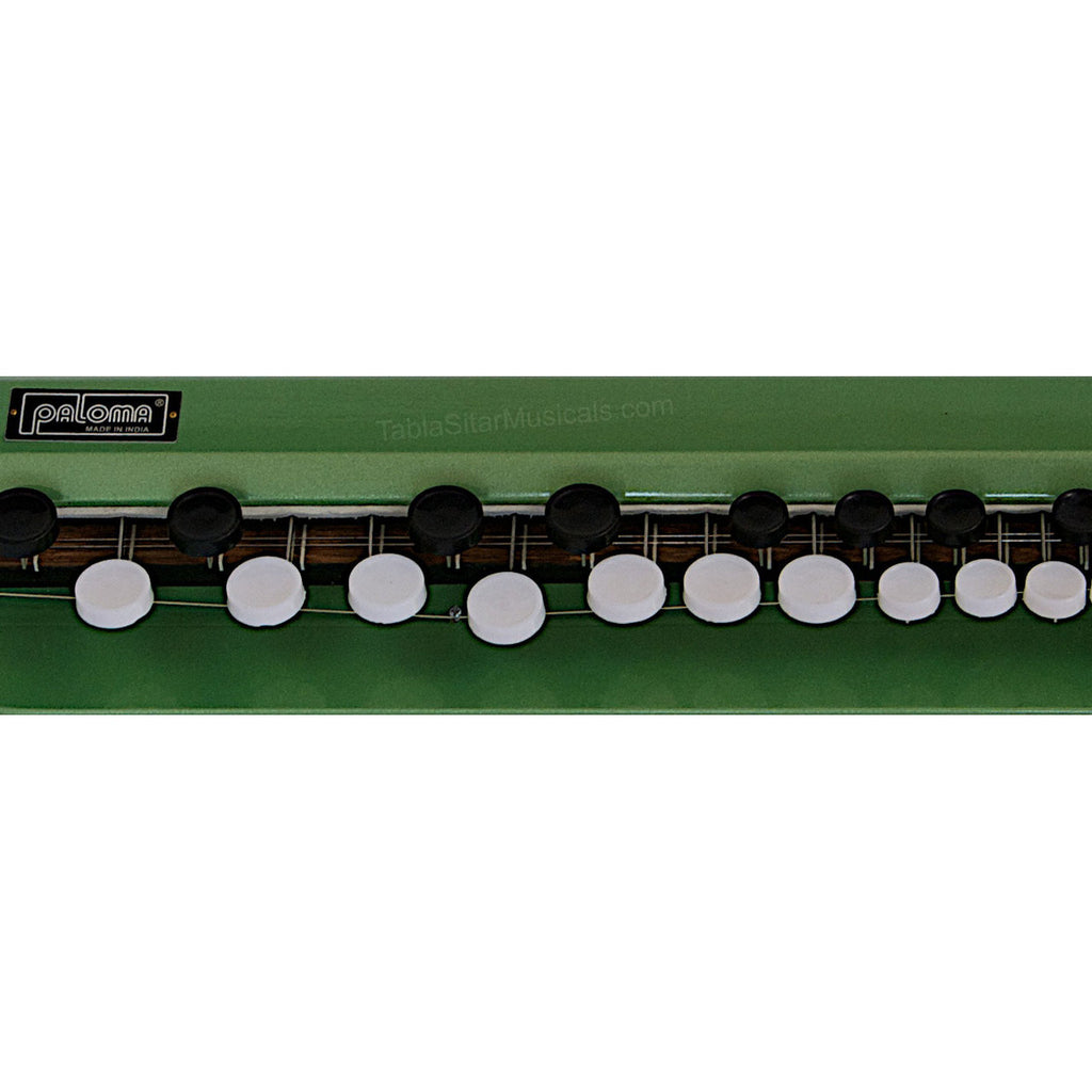 Paloma Bulbul Tarang, Green