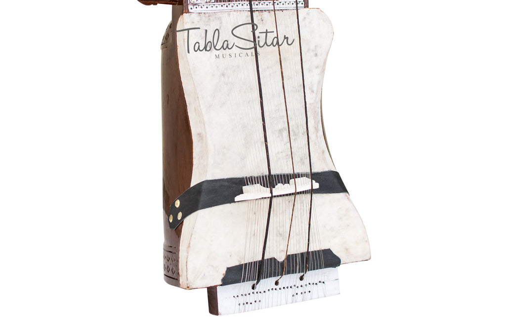 Maharaja Musicals Floral Sarangi
