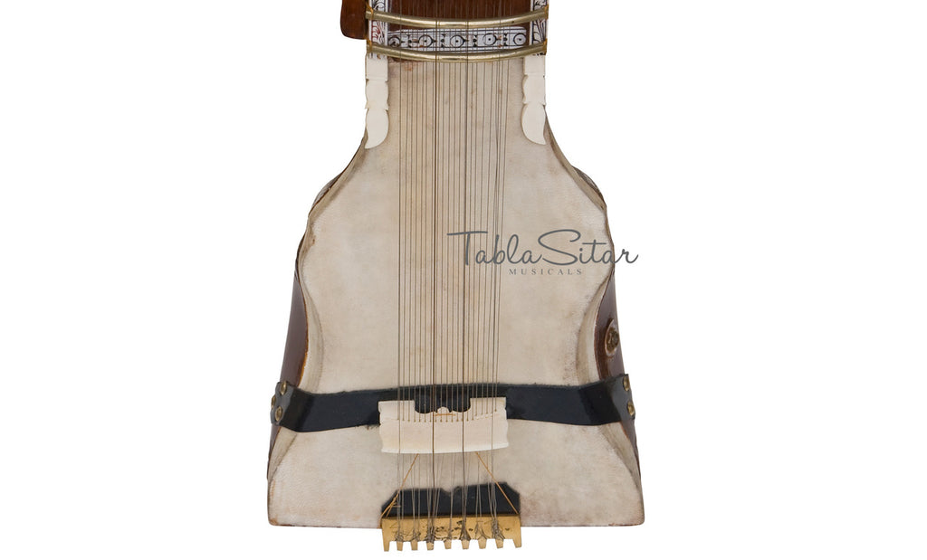 Maharaja Musicals Peacock Dilruba, Tun Wood, Horsehair Bow