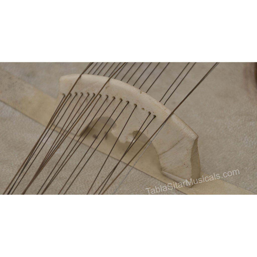 MKS Concert Esraj, Horsehair Bow, Fiber Case