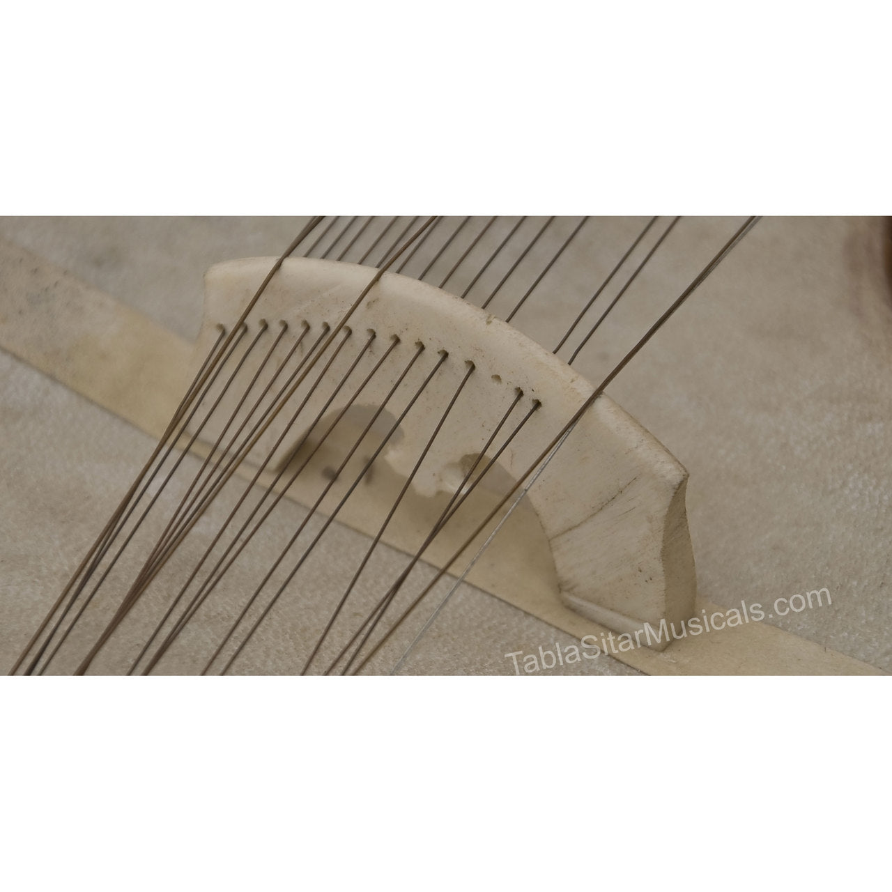 MKS Concert Esraj, Horsehair Bow, Fiber Case