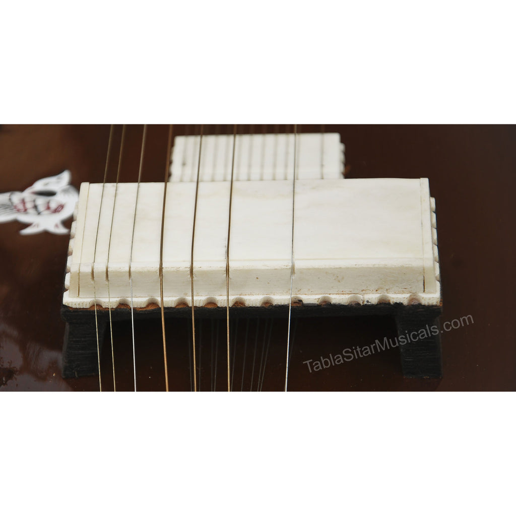 MKS Surbahar, Fiber Case (No. 557)