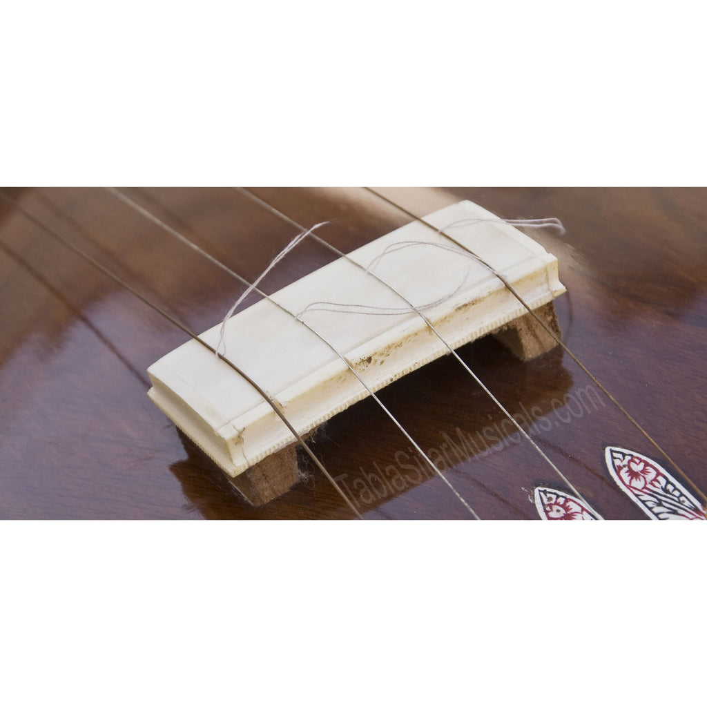 HEMEN & CO. Tanpura, Male, 4 Strings