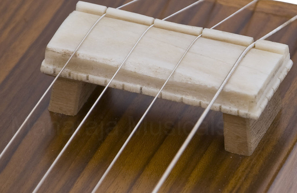 Maharaja Musicals 2 in 1 Tanpura