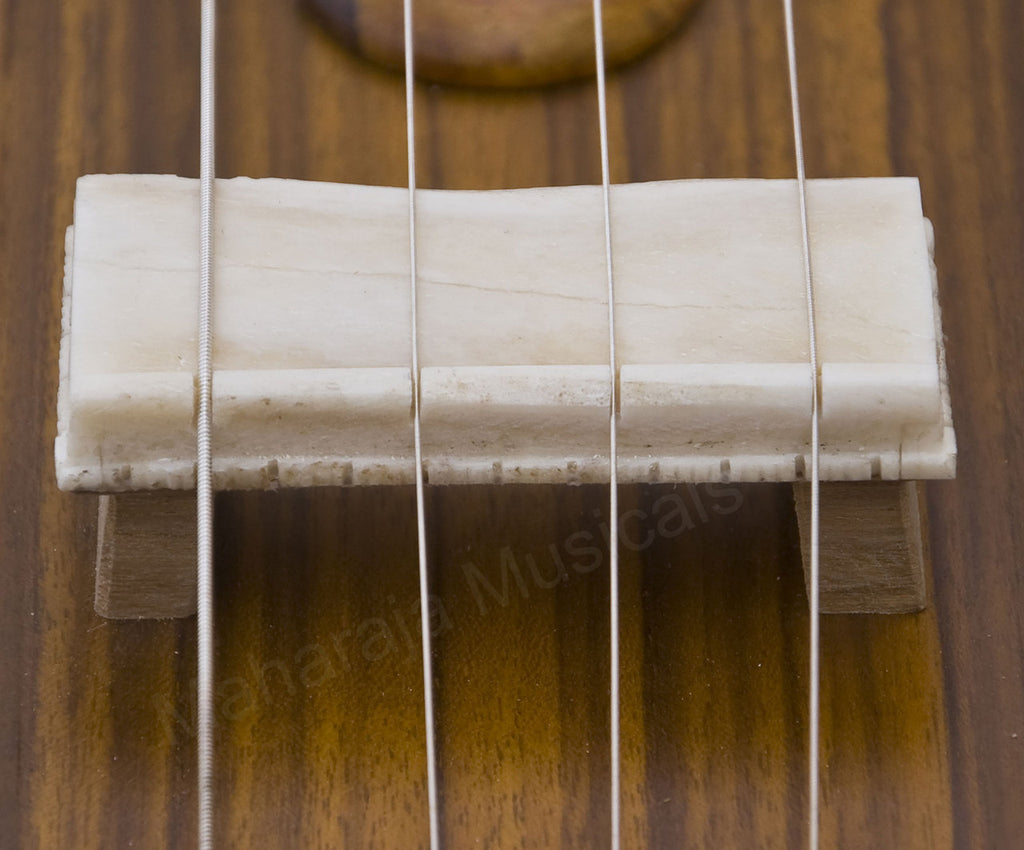 Maharaja Musicals 2 in 1 Tanpura