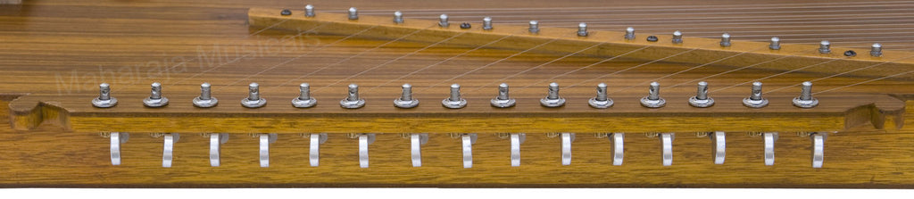 Maharaja Musicals 2 in 1 Tanpura