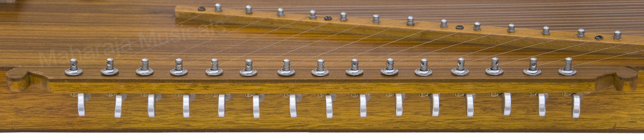 Maharaja Musicals 2 in 1 Tanpura