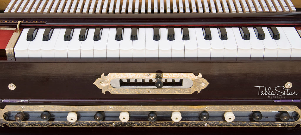 Paul & Co. Harmonium, 9-Scale Changer, 3 Reeds, Dark Mahogany