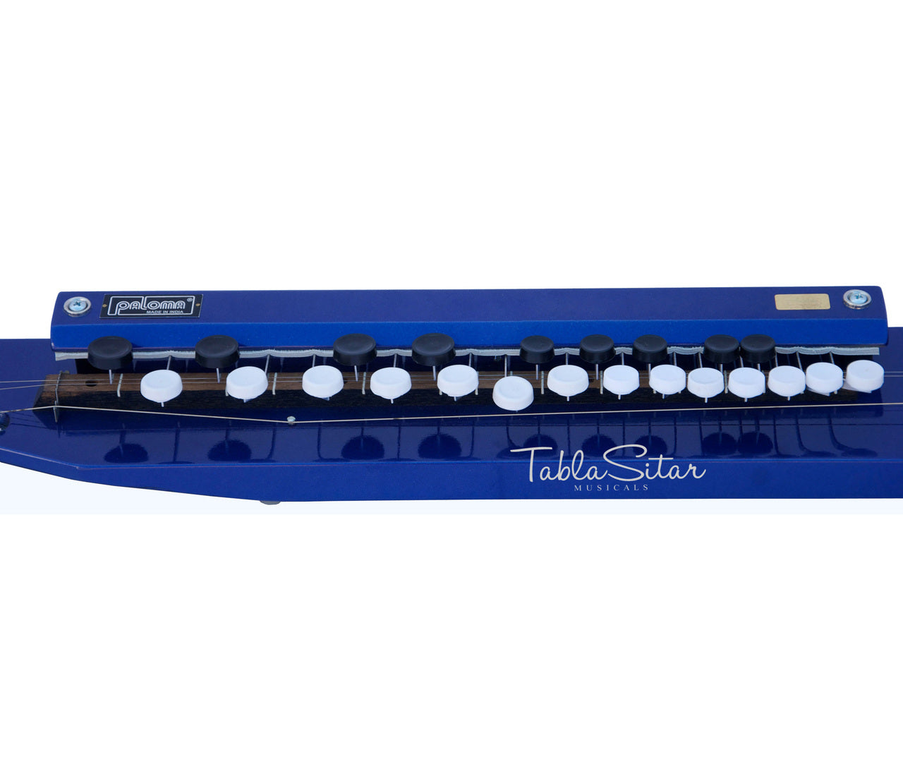 Paloma Bulbul Tarang, Blue