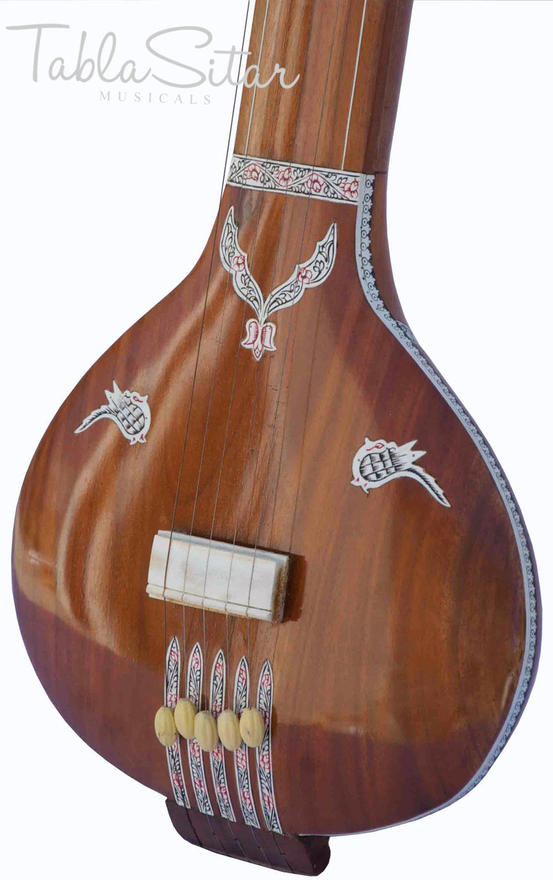 HEMEN & CO. Tanpuri, 5 Strings