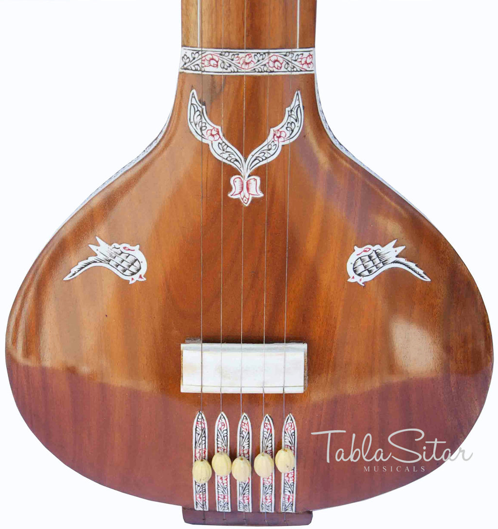 HEMEN & CO. Tanpuri, 5 Strings