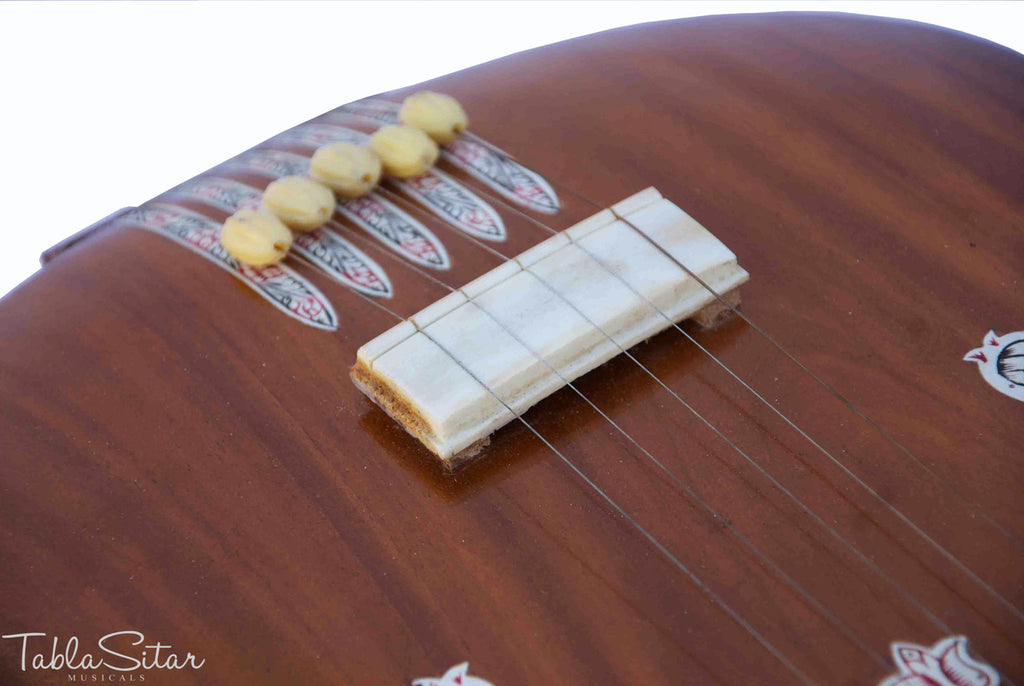 HEMEN & CO. Tanpuri, 5 Strings