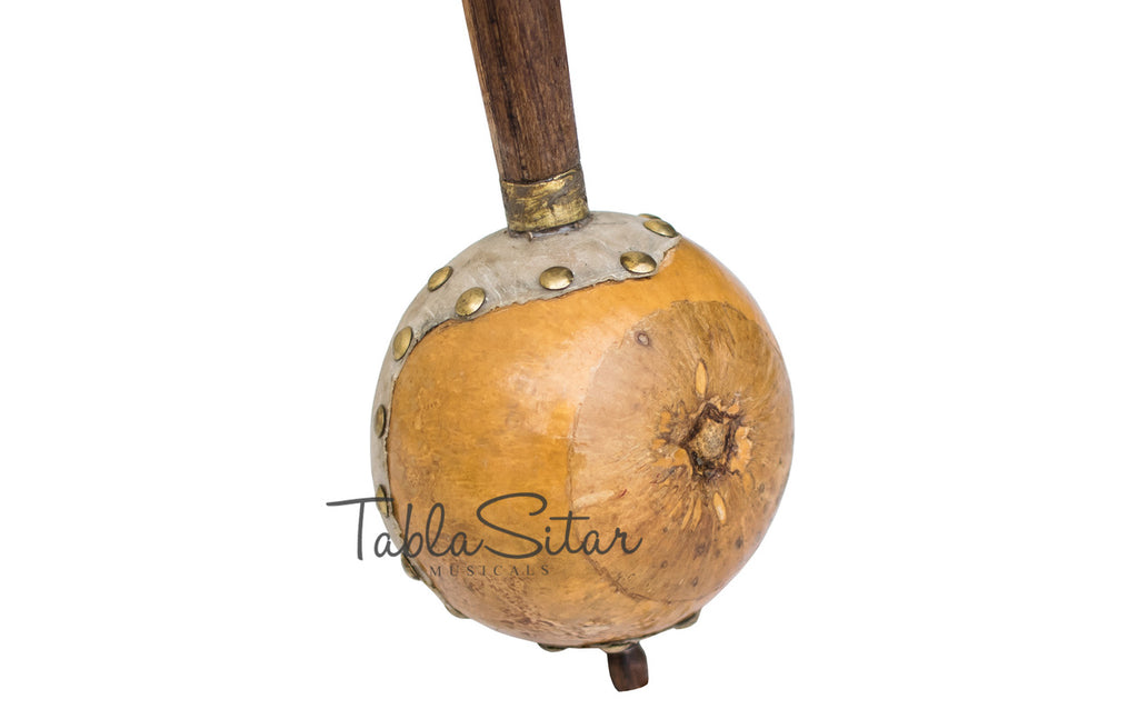 Maharaja Musicals Iktara, 1 Strings, Tun Wood (No. 297)