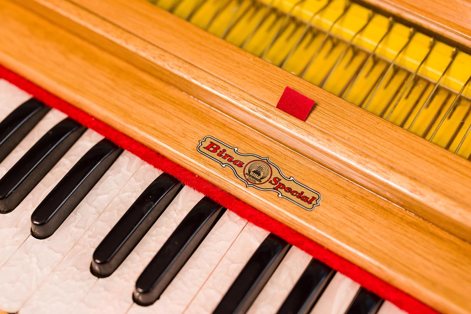 Bina No. 23B Deluxe Harmonium, 2.5 Octave, Folding