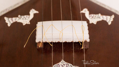 Kanai Lal Tanpuri