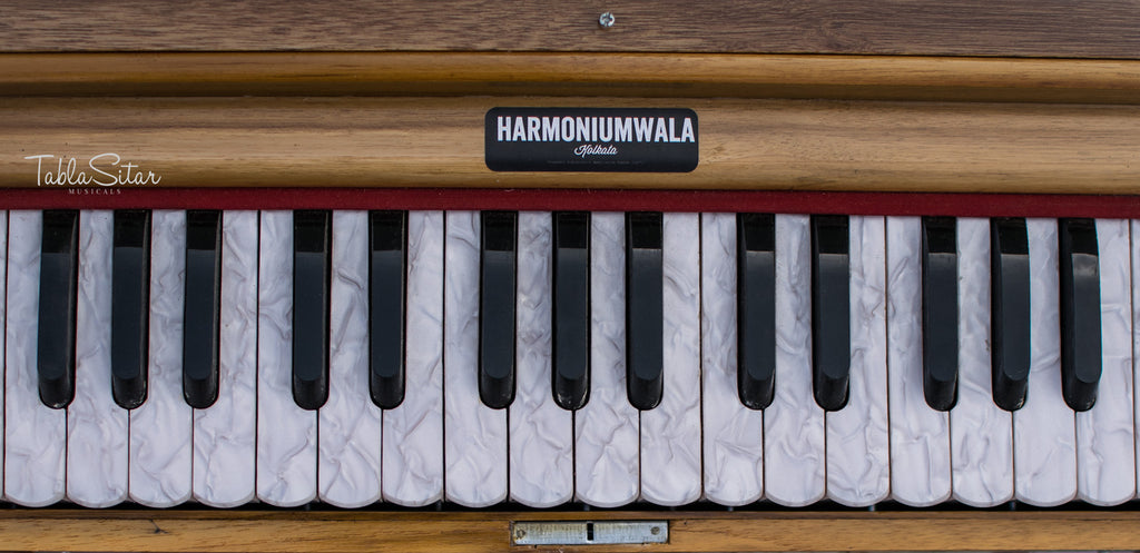 Maharaja Musicals Concert Harmonium, 9 Stops, Coupler, 42 Keys