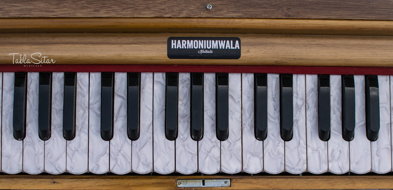 Maharaja Musicals Concert Harmonium, 9 Stops, Coupler, 42 Keys