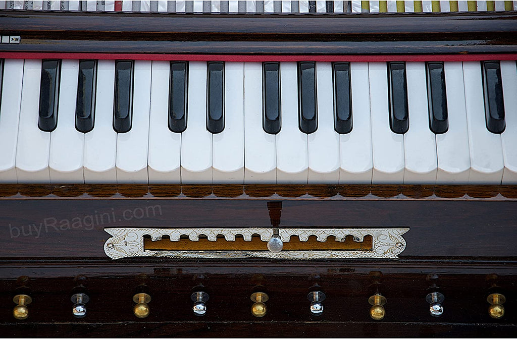 Maharaja Musicals Premium Calcutta Harmonium (No. 246)